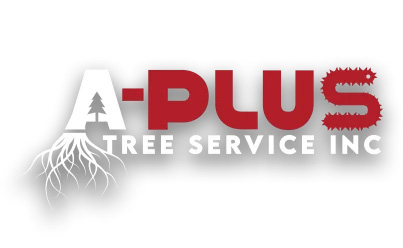 aplus